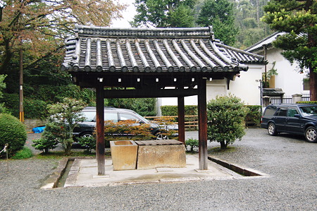 2010年10月31日_DSC_0140