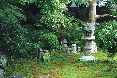 2010年10月31日_DSC_0212