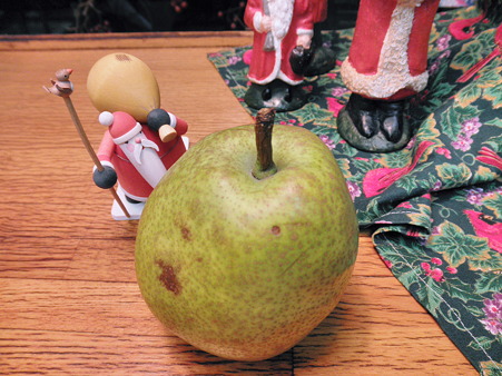 2010年12月04日_PC040130