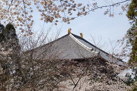 DSC_12572010年04月04日