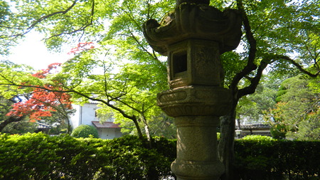 的山荘