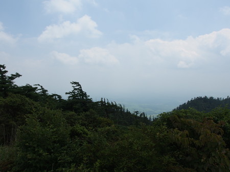 P6290356