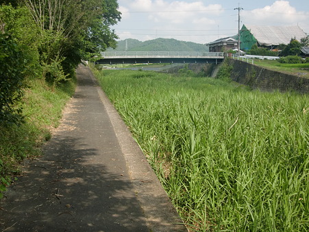 CIMG0186 CIMG0186