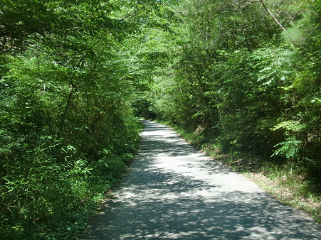 CIMG0199 CIMG0199