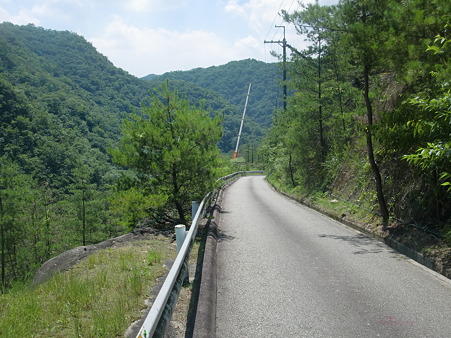 CIMG0200 CIMG0200