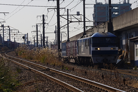 IMGP7879