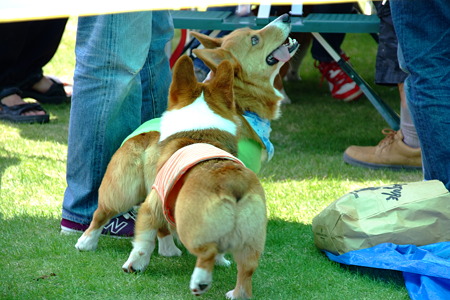 DSCF5430