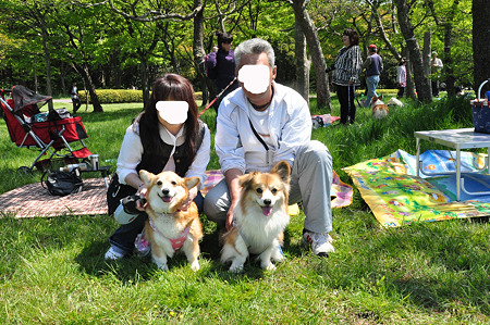 purin