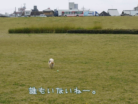 momoka-anigif