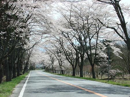 DSC08505