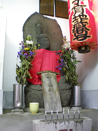 IMGP1759