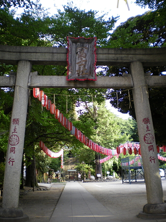 IMGP1766