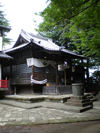 IMGP1907