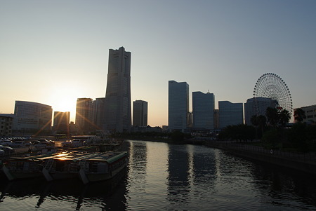IMGP4350