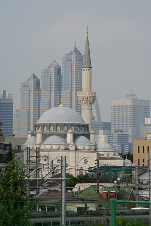 IMGP5485