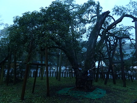 2010箱根伊豆 144