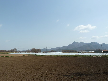 2011甲信 112