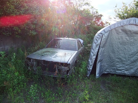2010_05300040
