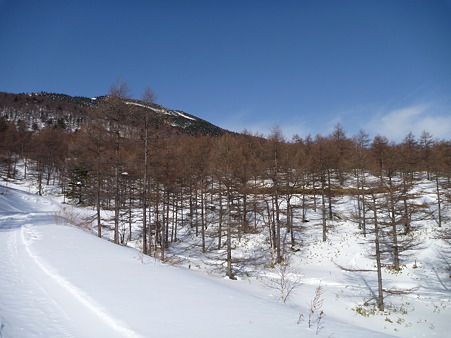 P1000681