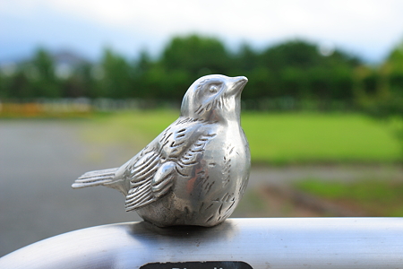 今日は天気不安定だなぁ。