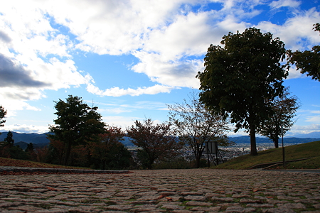 悠創の丘へ上がる道