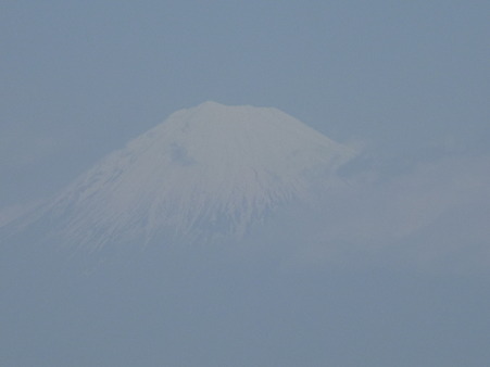 100403-日本平山頂 (18)
