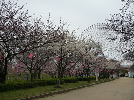 100331-天保山公園 (19)