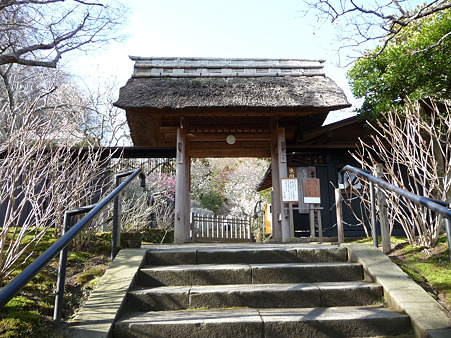 110225-東慶寺 (4)
