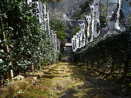 110225-杉本観音寺 (22)