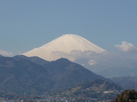 110305-松田山 河津桜 (120)