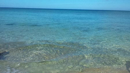 lifeximg_20100720054106