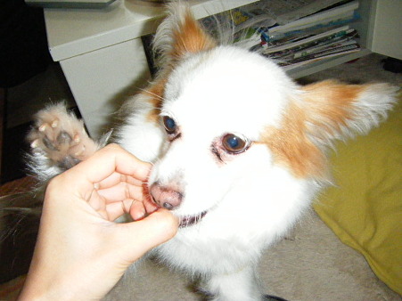 apr5 (22)