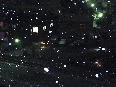 写真 1