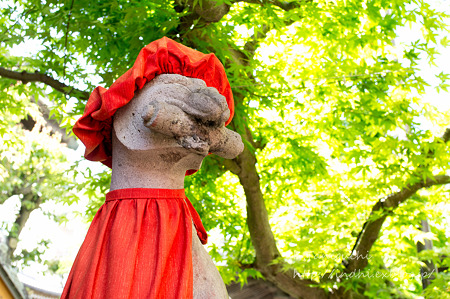 これは何というのでしょうか? NEX-5 FD28 F2.8