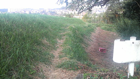 P1000817
