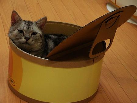 アメぼん「蓋を開けるとボクが入ってます」