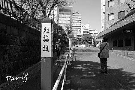 御茶ノ水・神田さんぽ~41