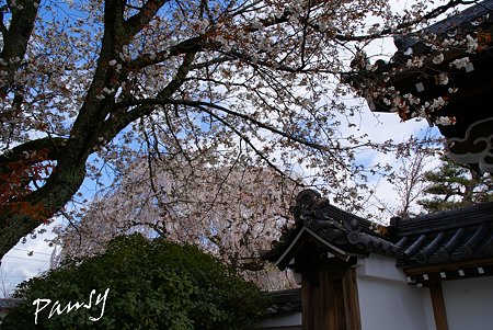 本満寺にて・・1