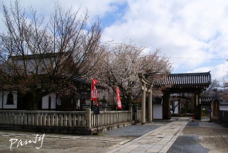 本満寺にて・・2