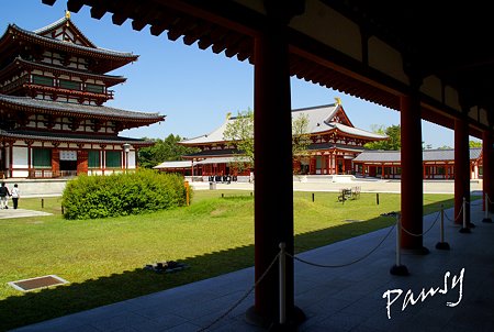 奈良 薬師寺にて・・6