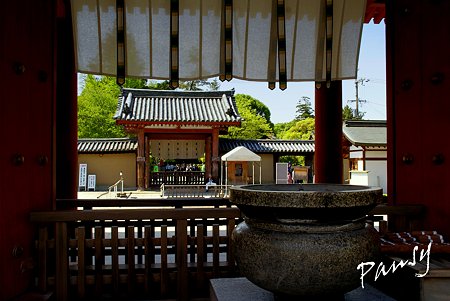 奈良 薬師寺にて・・8