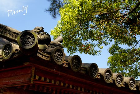屋根の上の龍・・ 薬師寺にて・・