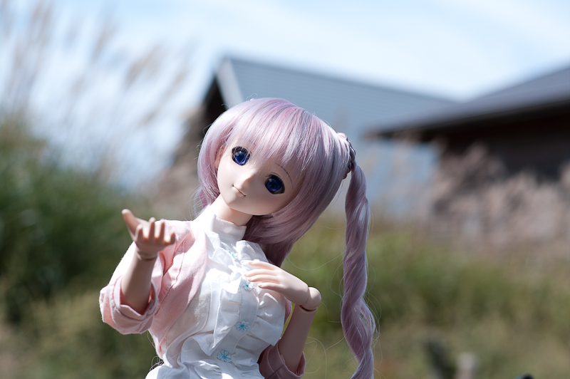 クリックで拡大します