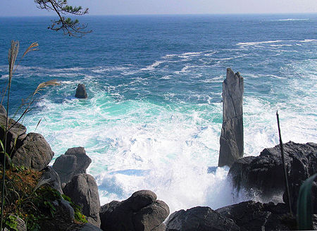 800px-Oogama-001