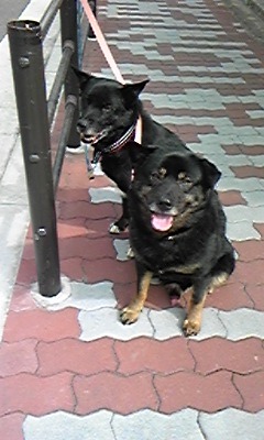 大&銀