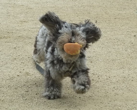 顔なしオバケ