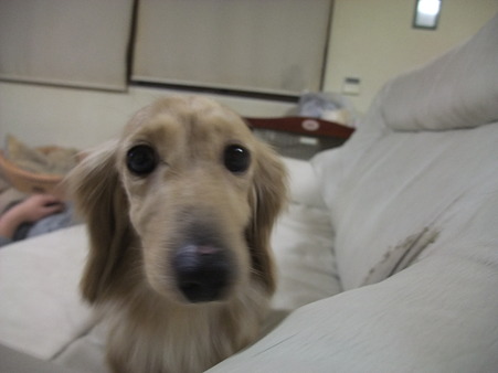 と、やってきた~~♪