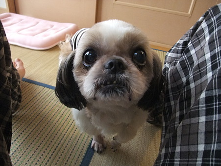 きらりちゃん♪