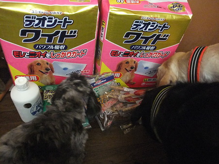 Mさんからお届け物