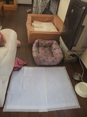 とわが居ない~~~!!